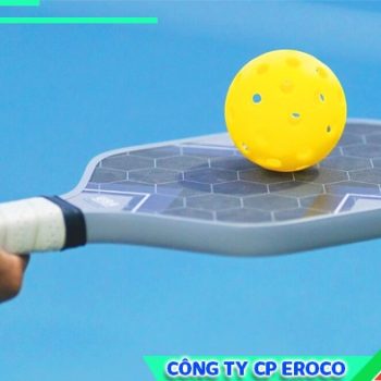 do-day-vot-pickleball-nhung-loai-bao-2