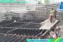 Hướng dẫn chọn và kiểm soát chất lượng cọc bê tông ép nhà phố