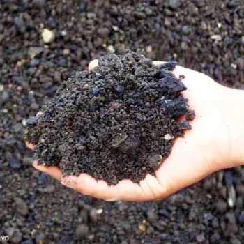 Dinh Muc Cap Phoi Be Tong Nhua C16